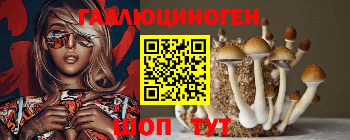 Губаха  Галлюциногенные грибы Magic Shrooms  Вход с VPN 